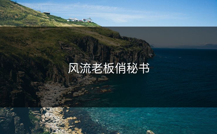 风流老板俏秘书