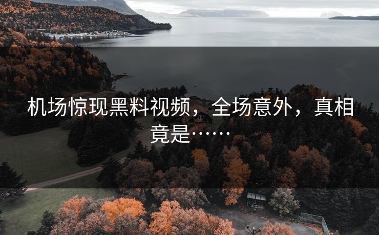 机场惊现黑料视频，全场意外，真相竟是……