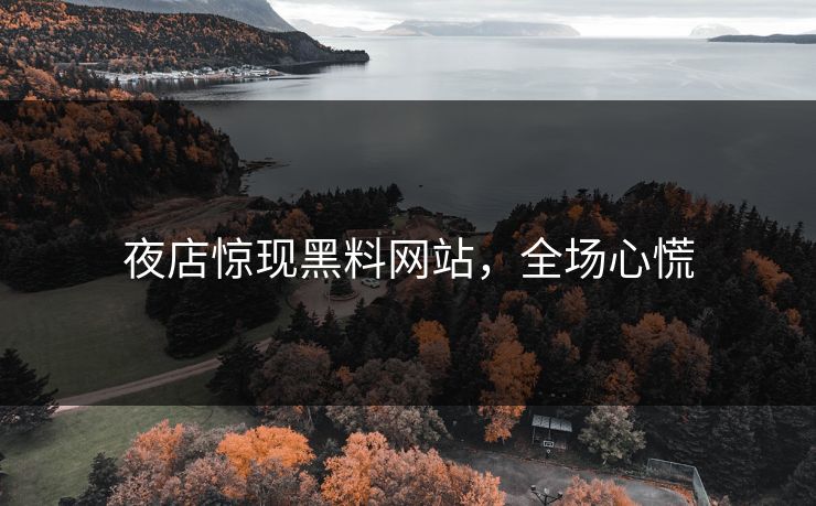 夜店惊现黑料网站，全场心慌