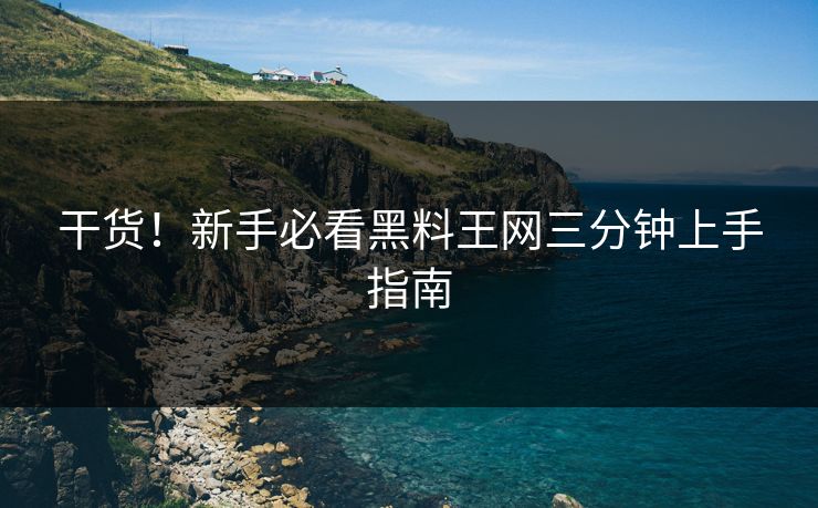 干货！新手必看黑料王网三分钟上手指南