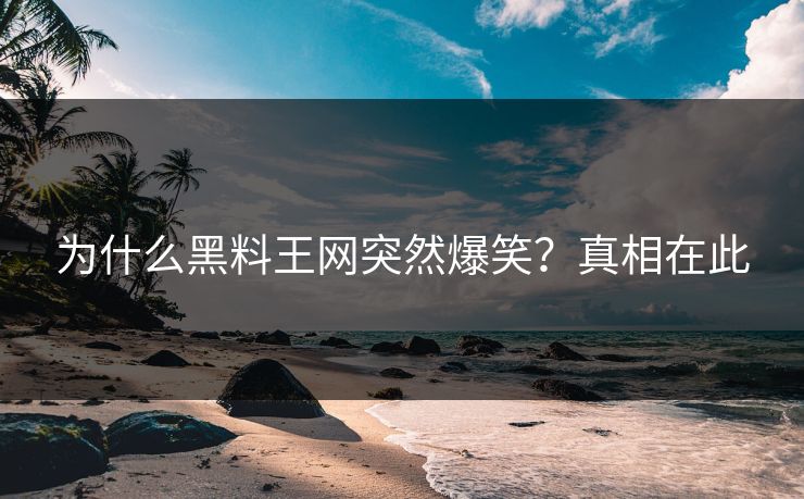 为什么黑料王网突然爆笑？真相在此