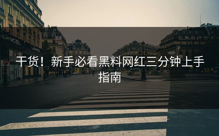 干货！新手必看黑料网红三分钟上手指南