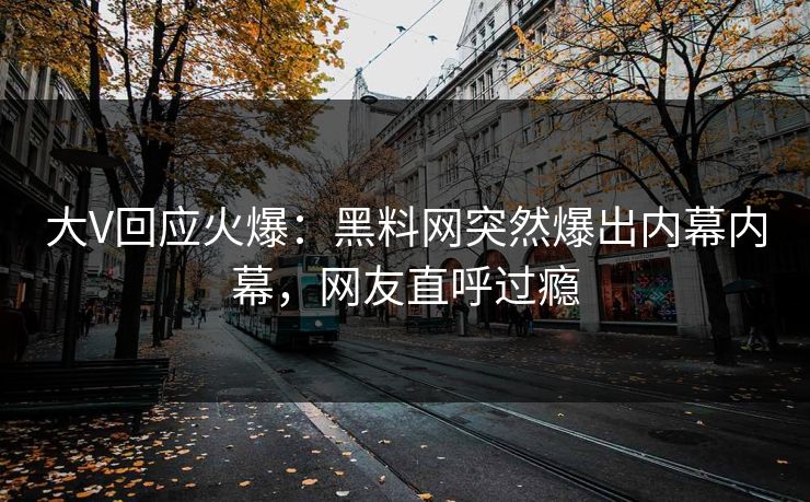 大V回应火爆：黑料网突然爆出内幕内幕，网友直呼过瘾