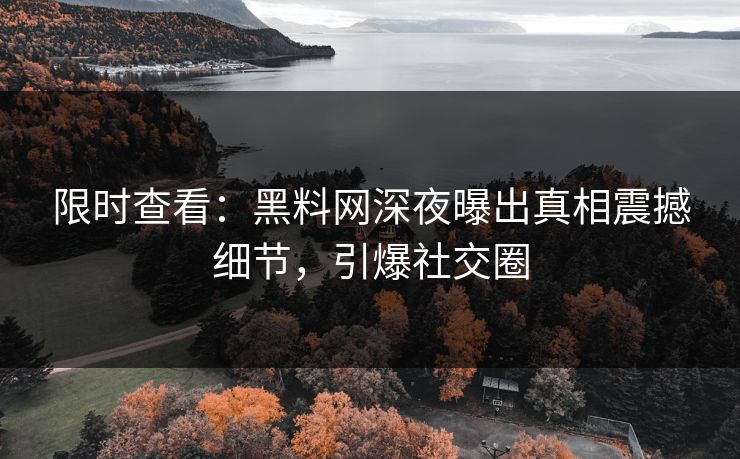 限时查看：黑料网深夜曝出真相震撼细节，引爆社交圈