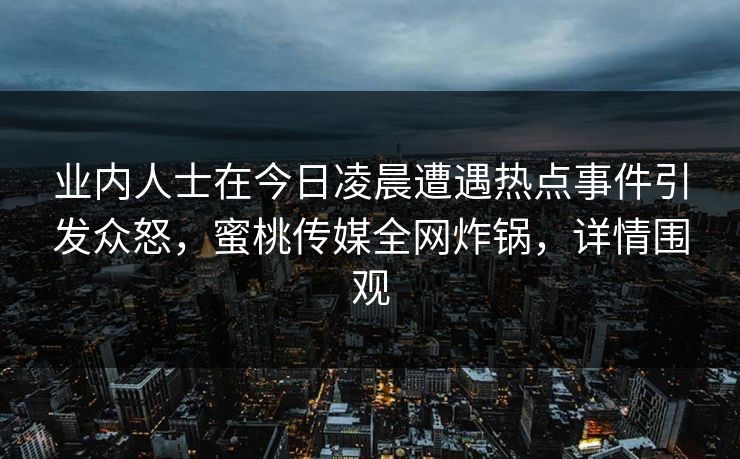 业内人士在今日凌晨遭遇热点事件引发众怒，蜜桃传媒全网炸锅，详情围观
