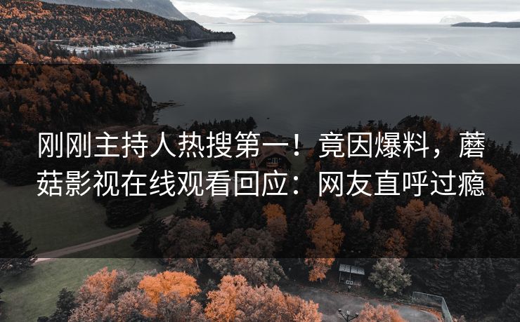 刚刚主持人热搜第一！竟因爆料，蘑菇影视在线观看回应：网友直呼过瘾