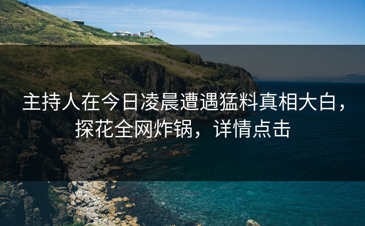 主持人在今日凌晨遭遇猛料真相大白，探花全网炸锅，详情点击