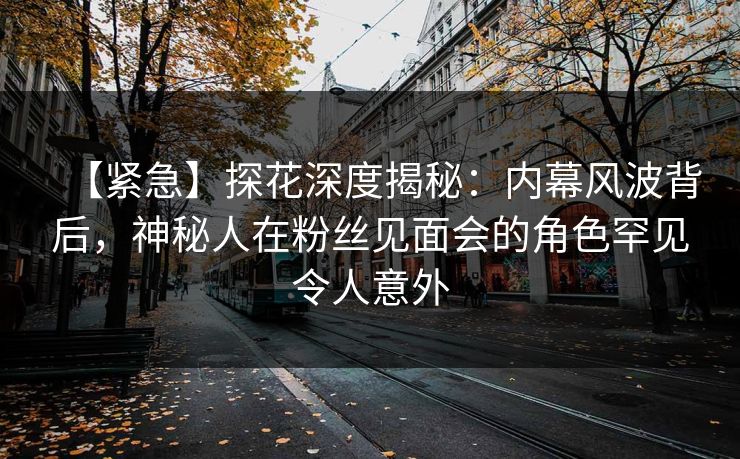 【紧急】探花深度揭秘：内幕风波背后，神秘人在粉丝见面会的角色罕见令人意外