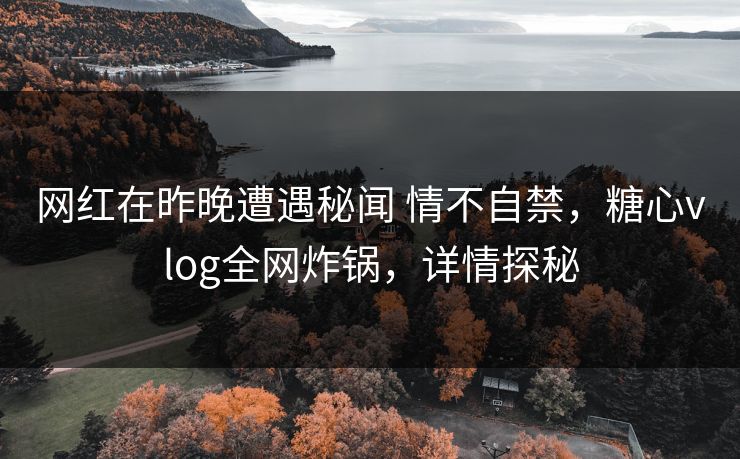 网红在昨晚遭遇秘闻 情不自禁，糖心vlog全网炸锅，详情探秘